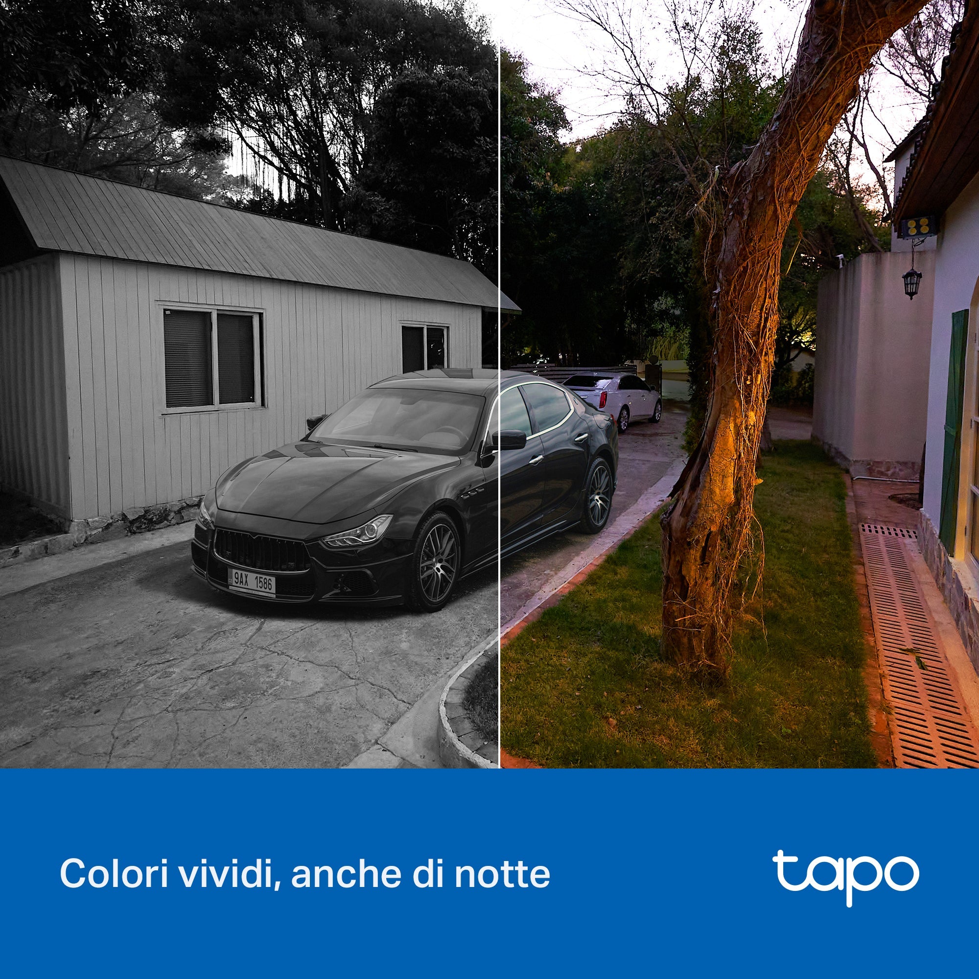 Tapo C206 Telecamera Wi-Fi Esterno/Interno 1080P FHD, 360° Visuale, Visione Notturna a Colori, ⚠️Non a batteria