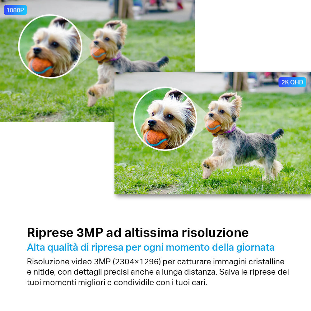 Tapo C310 Telecamera Wi-Fi Esterno 2K 3MP, Visione Notturna, Wi-Fi/Ethernet, 2pz, ⚠️Non a batteria