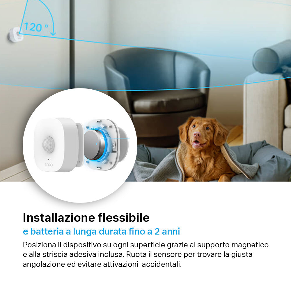 Tapo T100 Sensore di Movimento, ⚠️Tapo Hub Necessario, 3pz