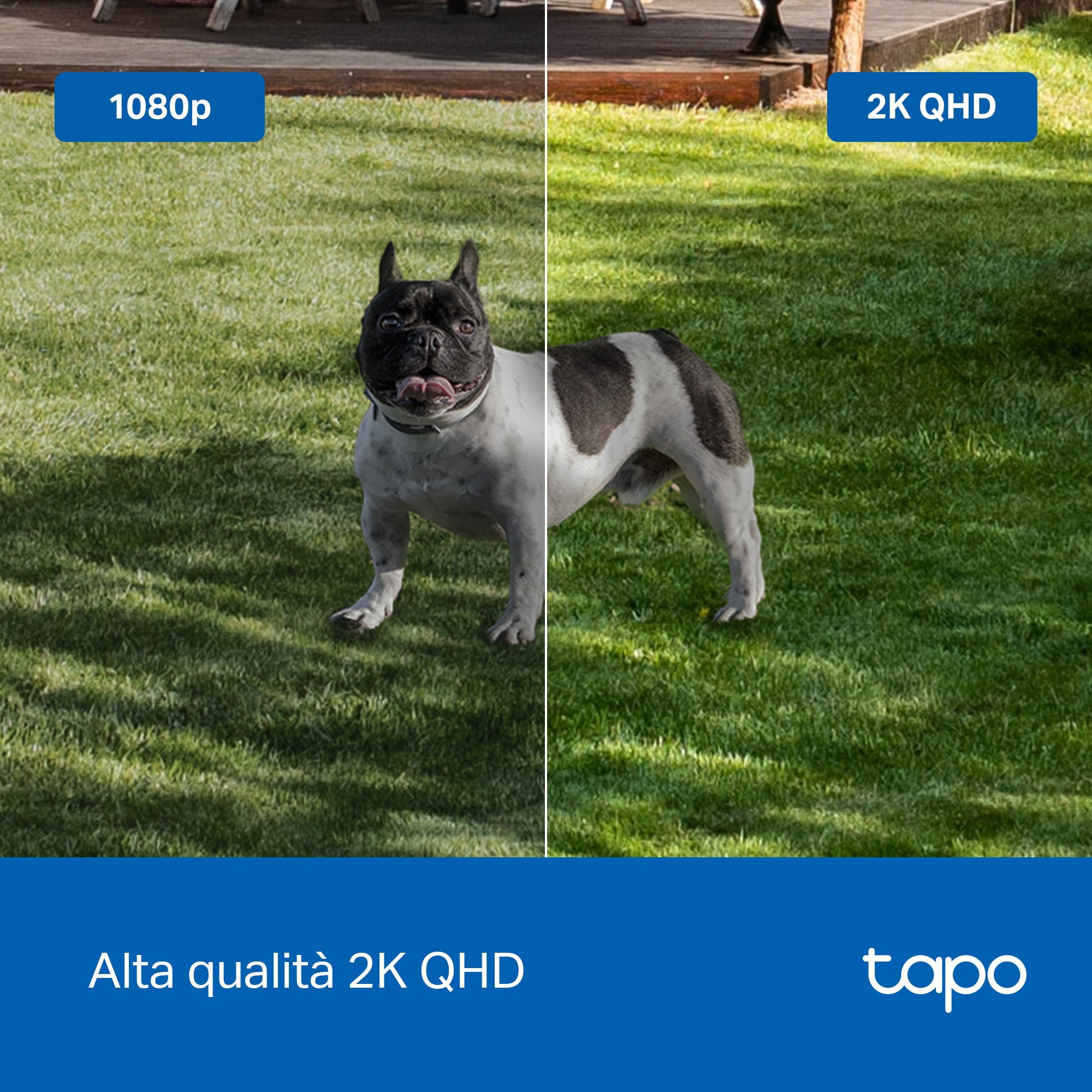 Tapo C425 Telecamera Wi-Fi Esterno a Batteria 2K 4MP, Visione Notturna a Colori, Base Magnetica, 2pz