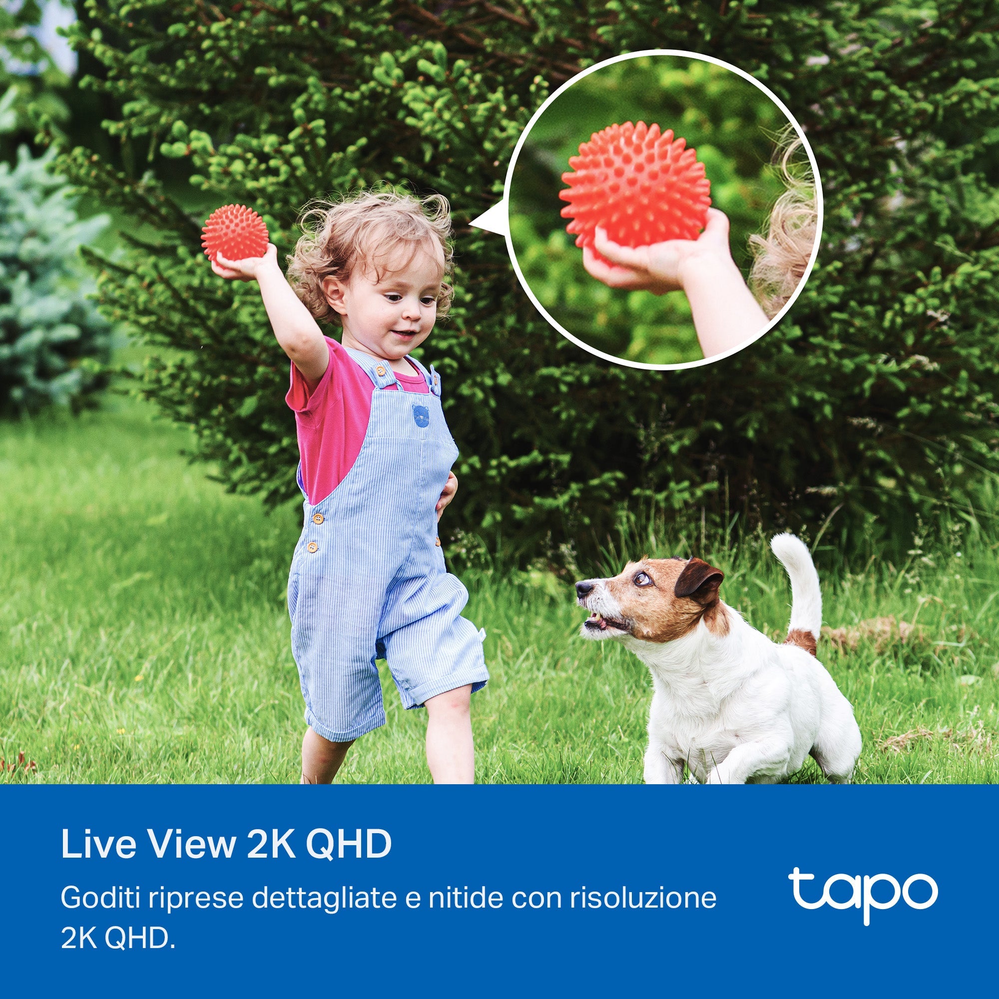 Tapo C425 KIT Telecamera Wi-Fi Esterno a Batteria 2K 4MP con Pannello Solare, Visione Notturna a Colori