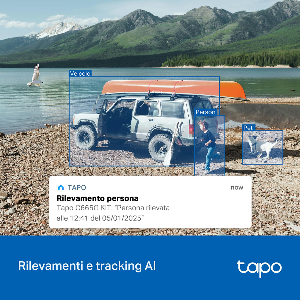 Tapo C665G KIT Telecamera 4G LTE da Esterno 4K 8MP con Pannello Solare, Pan/Tilt, Visione Notturna a Colori, Rilevamento AI, Registrazione 24/7